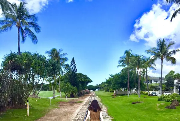 アイランド ヴィンテージ コーヒーの写真・動画_image_245057