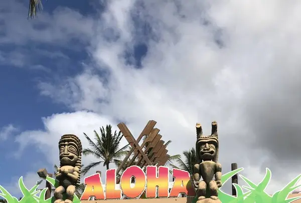 Wet'n'Wild Hawaiiの写真・動画_image_245077