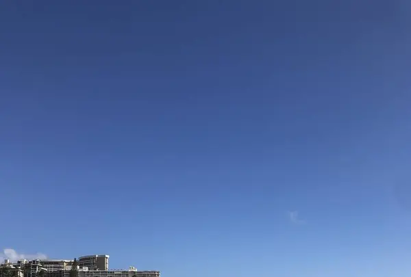 Waikiki Beach（ワイキキ・ビーチ）の写真・動画_image_245085