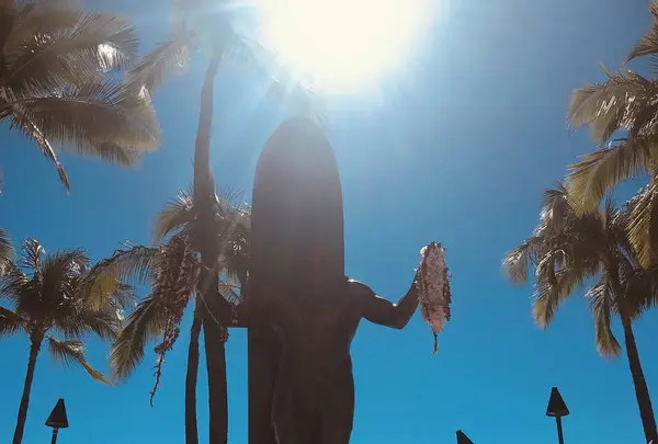 Waikiki Beach（ワイキキ・ビーチ）の写真・動画_image_245086