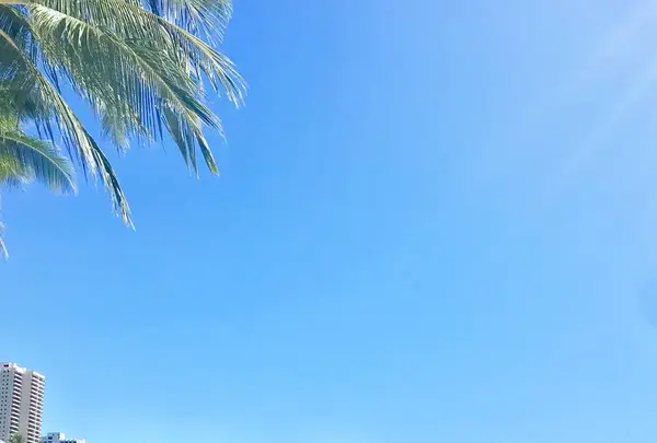 Waikiki Beach（ワイキキ・ビーチ）の写真・動画_image_245088