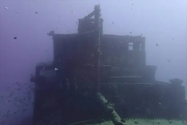 Sunshine Scubaの写真・動画_image_245089