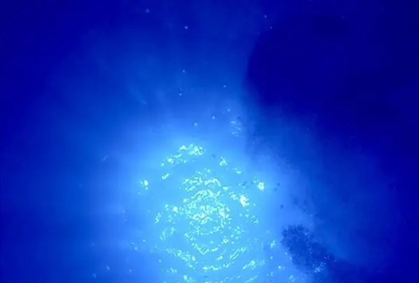 Sunshine Scubaの写真・動画_image_245090