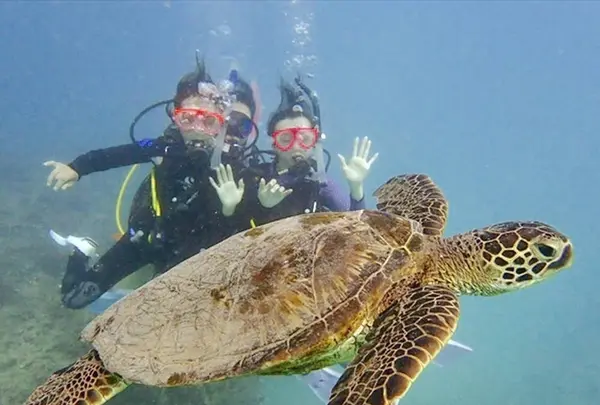 Sunshine Scubaの写真・動画_image_245092