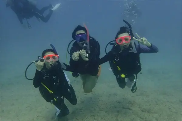 Sunshine Scubaの写真・動画_image_245096