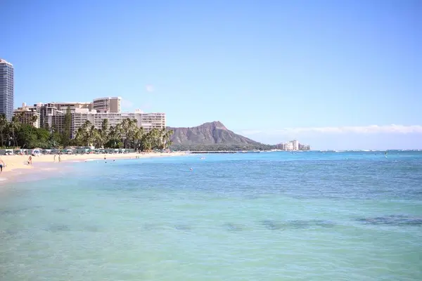 Atlantis Adventuresの写真・動画_image_245103