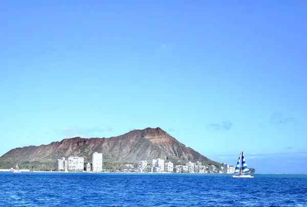 Atlantis Adventuresの写真・動画_image_245105