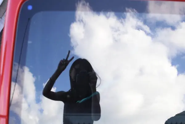 North Shore Shark Adventuresの写真・動画_image_245121