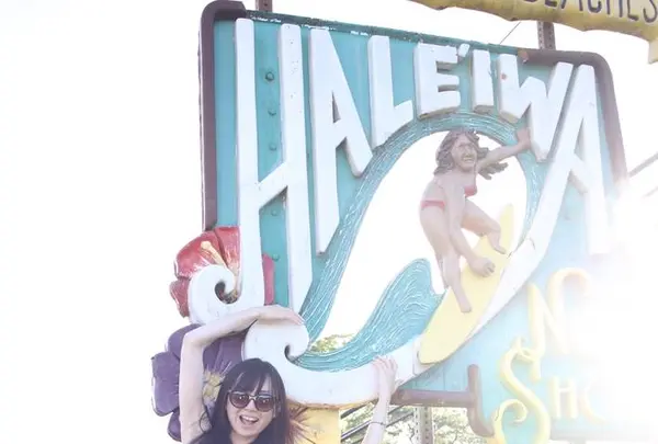 North Shore Shark Adventuresの写真・動画_image_245122