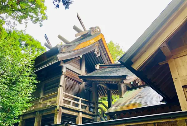 須佐神社の写真・動画_image_245189