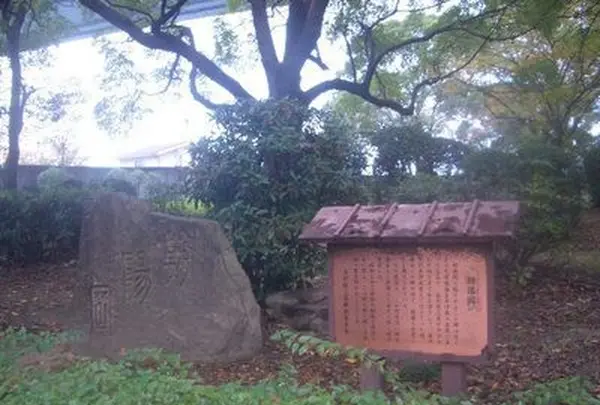 朝陽岡