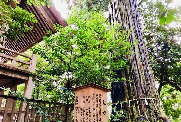 須佐神社の写真・動画_image_245193