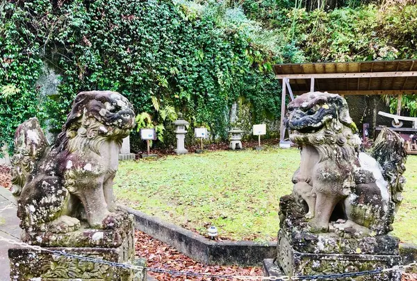 来待ストーンの写真・動画_image_245204