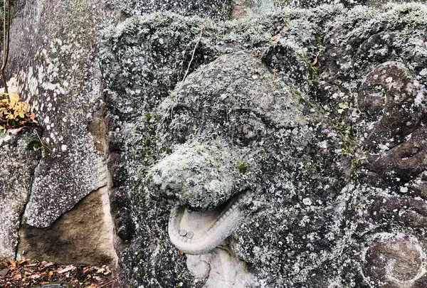 来待ストーンの写真・動画_image_245206