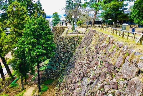 松江城の写真・動画_image_245235
