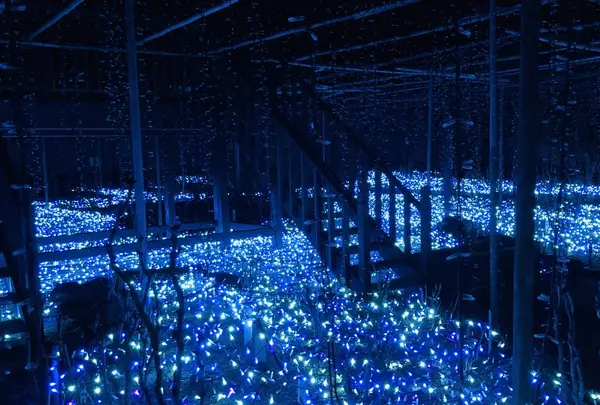 由志園の写真・動画_image_245253