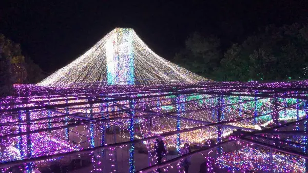 由志園の写真・動画_image_245254
