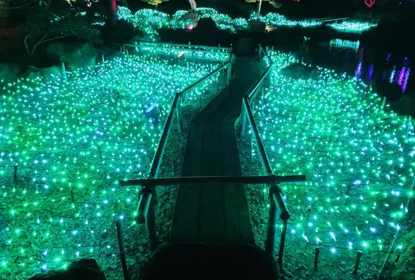 由志園の写真・動画_image_245257