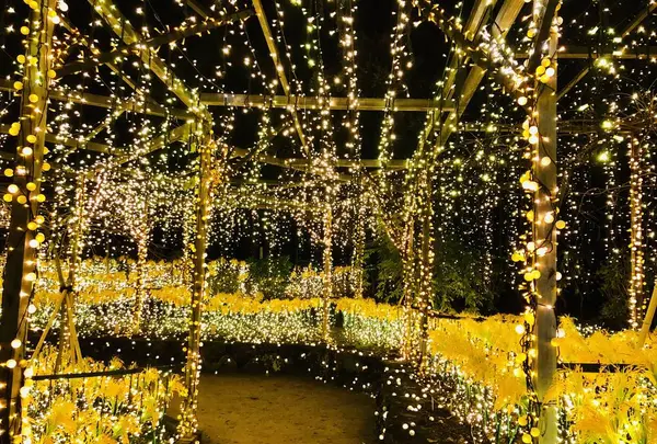 由志園の写真・動画_image_245263