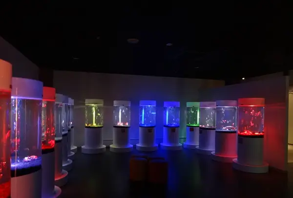 奈良金魚ミュージアムの写真・動画_image_245349