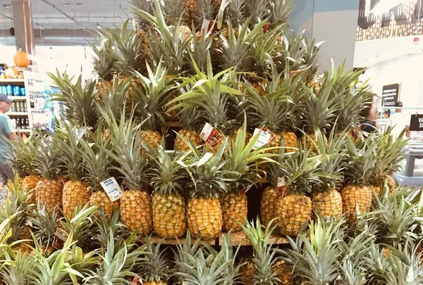 Whole Foods Marketの写真・動画_image_245393