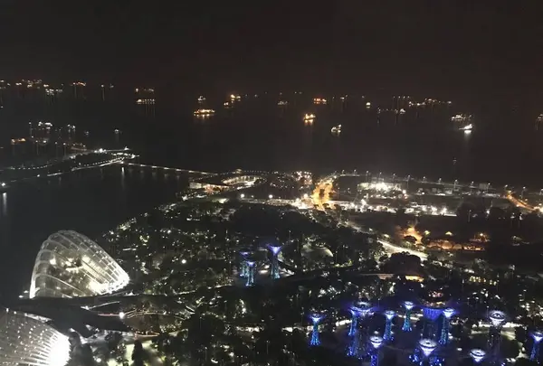 Marina Bay Sands Singapore（マリーナベイ・サンズ）の写真・動画_image_245479