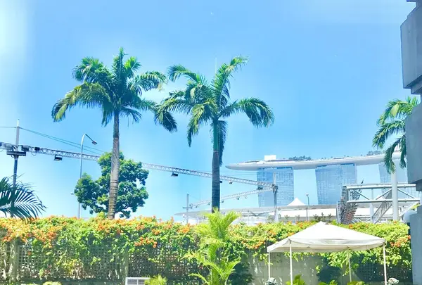 The Fullerton Bay Hotelの写真・動画_image_245502