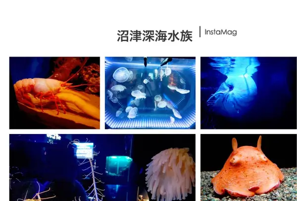 沼津港深海水族館の写真・動画_image_245754