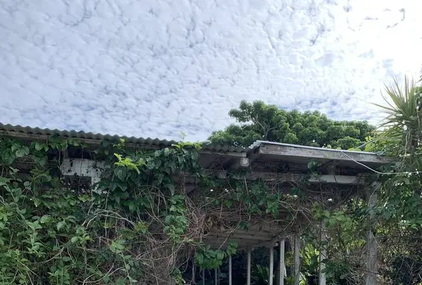 宗像堂の写真・動画_image_245894