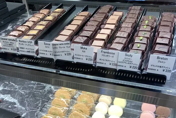 アングランパの写真・動画_image_246082