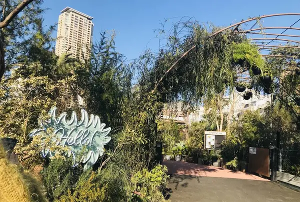 Little Darling Coffee Roasters（リトル ダーリン コーヒー ロースターズ）の写真・動画_image_246218