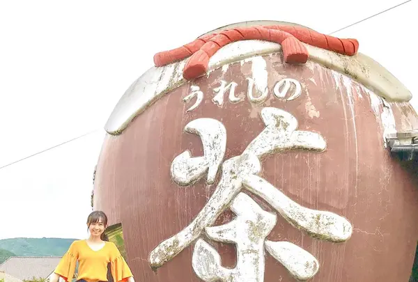 お茶ちゃ村の写真・動画_image_246271