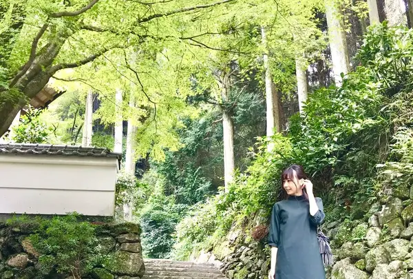 伊万里大川内山の写真・動画_image_246284