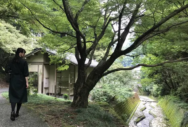 伊万里大川内山の写真・動画_image_246285