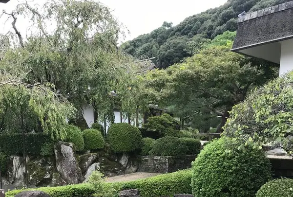 柿右衛門窯（柿右衛門古陶磁参考館）の写真・動画_image_246292