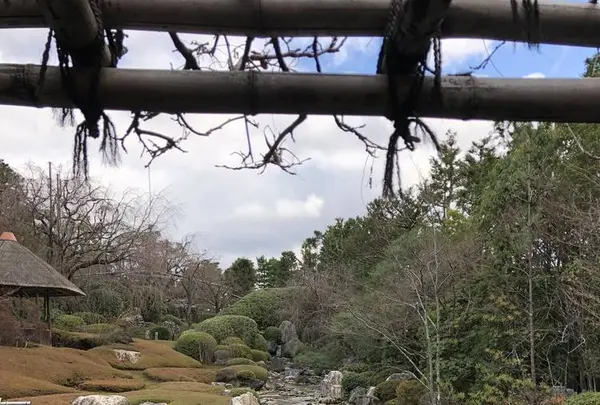 妙心寺の写真・動画_image_246405