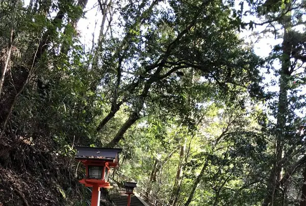 鞍馬寺の写真・動画_image_246406
