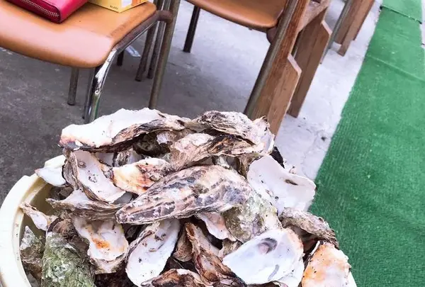 モトかき養殖場の写真・動画_image_246609