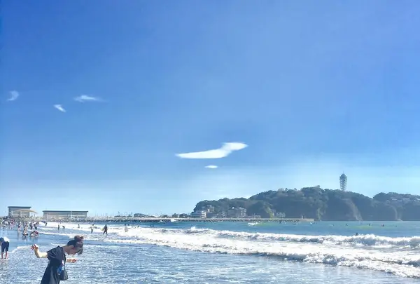 湘南の写真・動画_image_246721