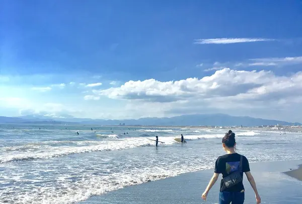 湘南の写真・動画_image_246722