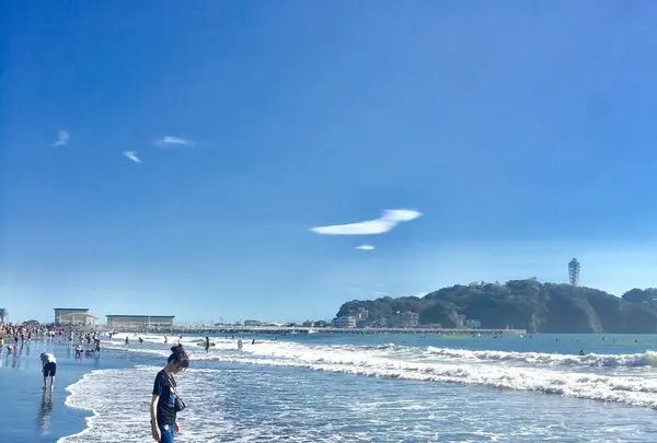 湘南の写真・動画_image_246724