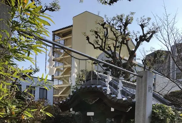 一宮神社の写真・動画_image_246777