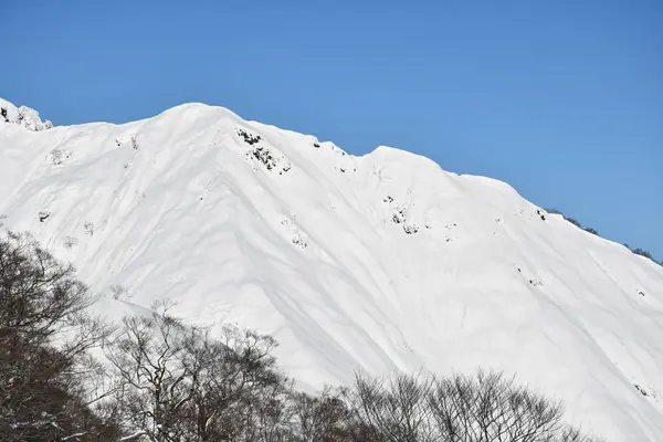 谷川岳ロープウェイの写真・動画_image_247233