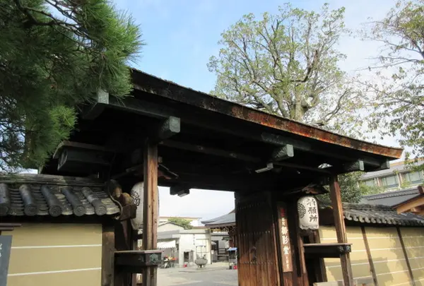 東寺（教王護国寺）の写真・動画_image_247507