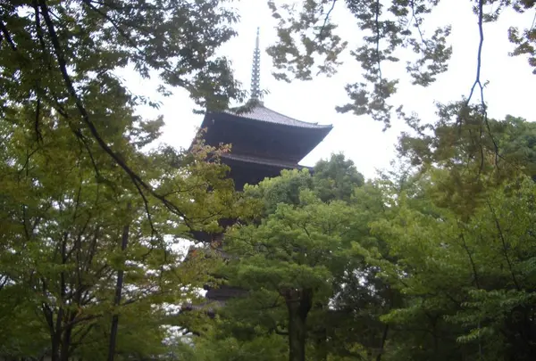 東寺（教王護国寺）の写真・動画_image_247508