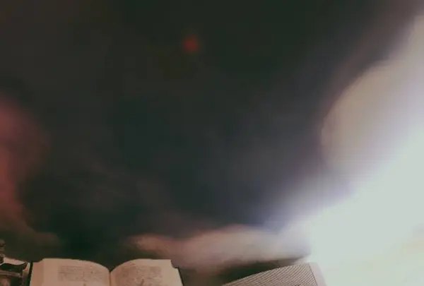 Angel Library by CACAO MARKET（エンジェルライブラリー）の写真・動画_image_247583