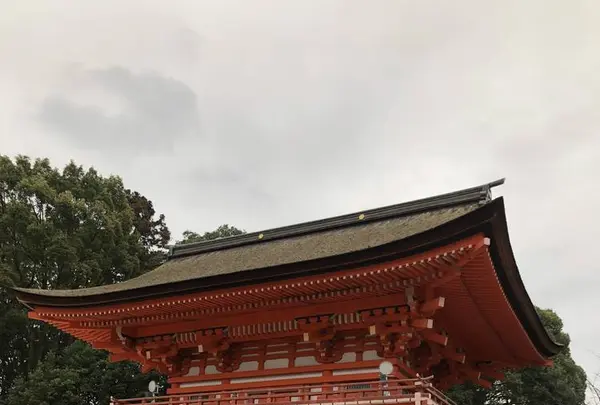 下鴨神社（賀茂御祖神社）の写真・動画_image_247591