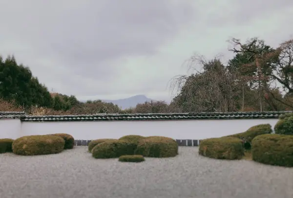 正伝寺の写真・動画_image_247613