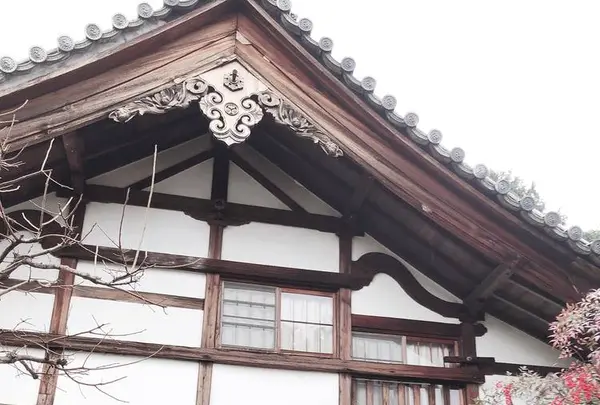 正伝寺の写真・動画_image_247614