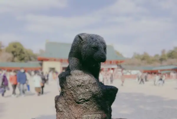 平安神宮の写真・動画_image_247680